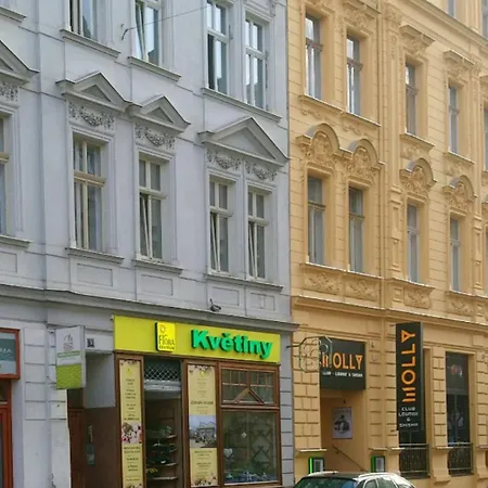 Luxusni V Centru - Free Parking * Karlowe Wary